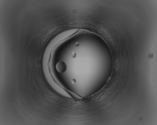 X0000090950697200708241128