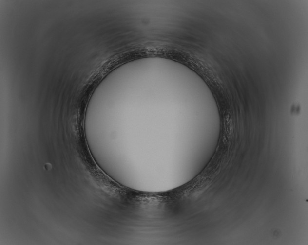 X0000090950698200708241128