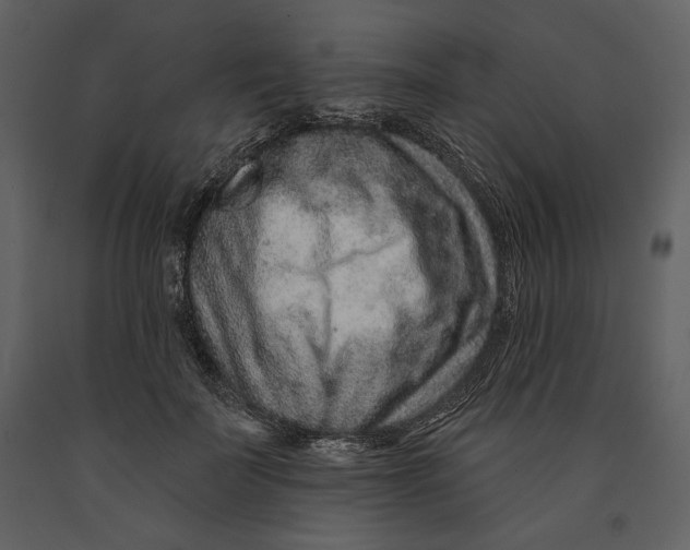 X0000090950699200708241128