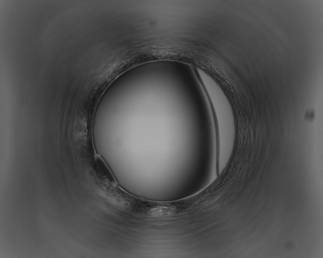 X0000090950700200708241128