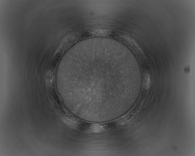 X0000090950701200708241128