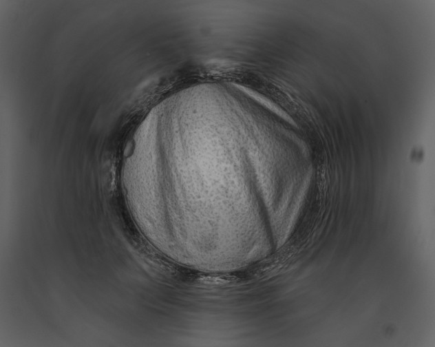 X0000090950703200708241128