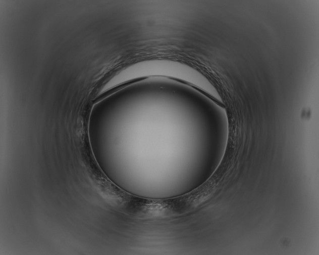 X0000090950704200708241128