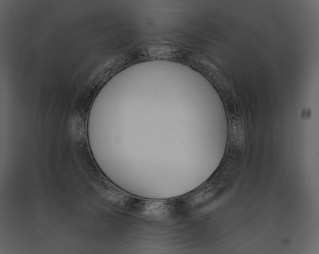 X0000090950705200708241128