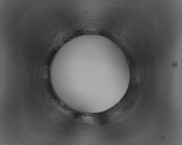 X0000090950706200708241128
