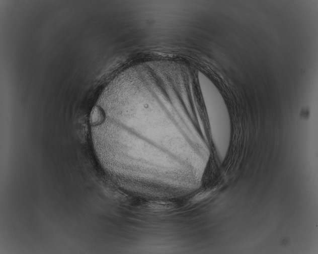 X0000090950707200708241128
