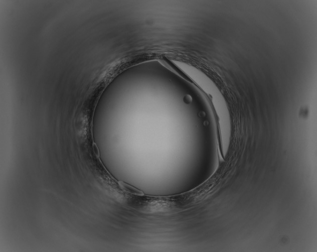 X0000090950708200708241128