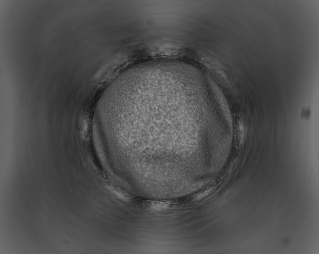 X0000090950709200708241128