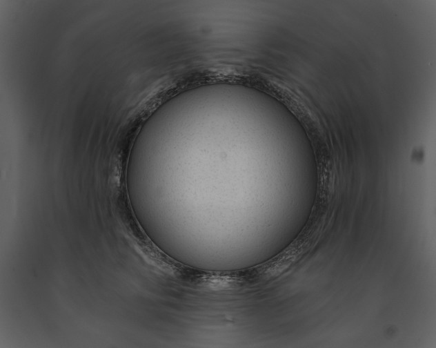 X0000090950710200708241128