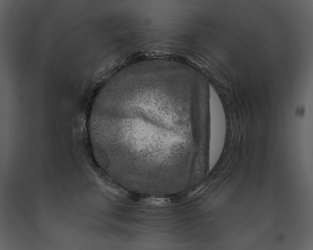X0000090950711200708241128