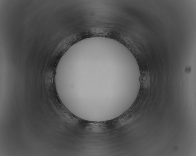 X0000090950713200708241128