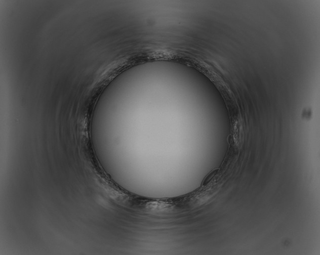X0000090950714200708241128