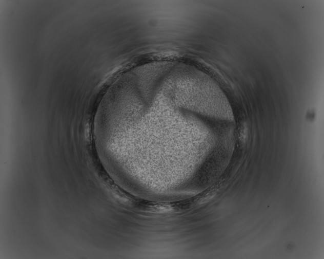 X0000090950715200708241128