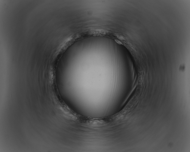 X0000090950716200708241128