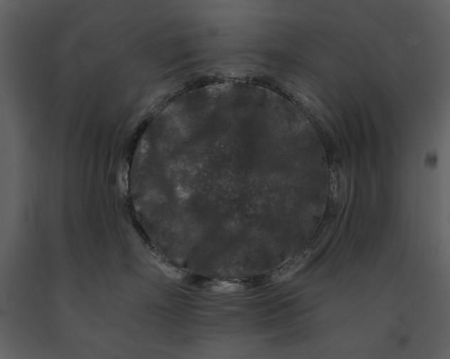 X0000090950718200708241128