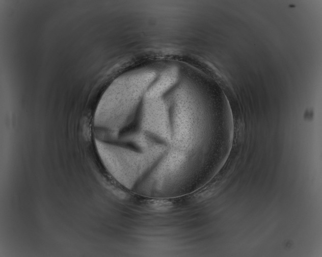 X0000090950719200708241128