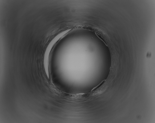 X0000090950720200708241128