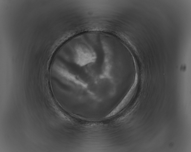 X0000090950721200708241127