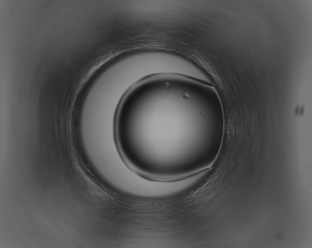X0000090950722200708241127