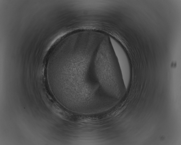 X0000090950723200708241127