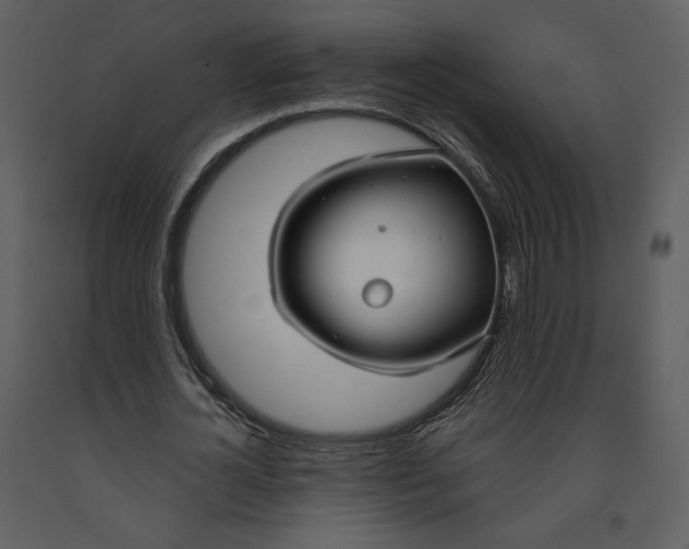 X0000090950724200708241127
