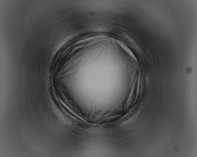 X0000090950725200708241127