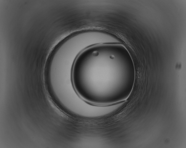 X0000090950726200708241127