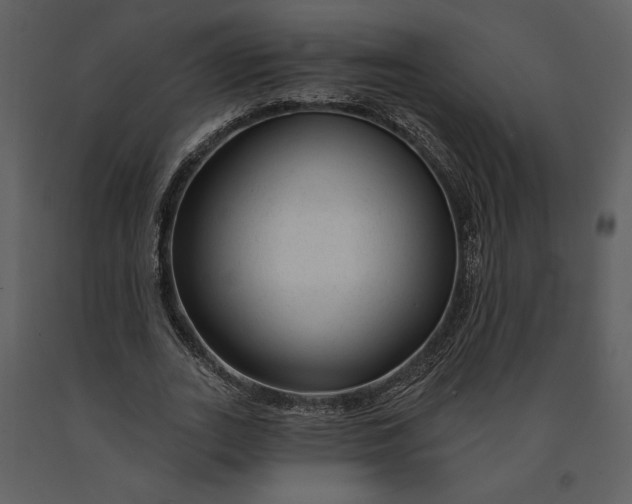 X0000090950727200708241127
