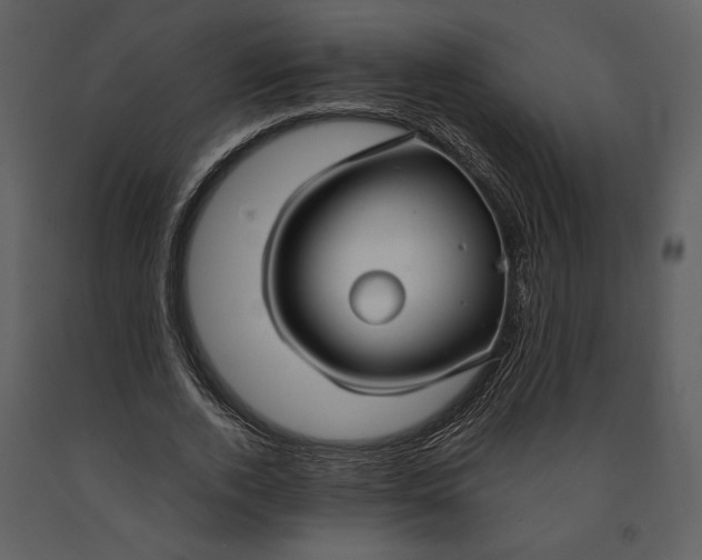 X0000090950728200708241127