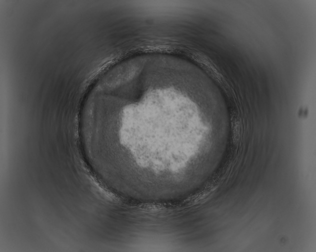 X0000090950729200708241127
