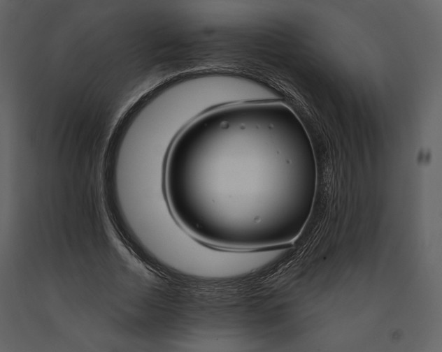 X0000090950730200708241127