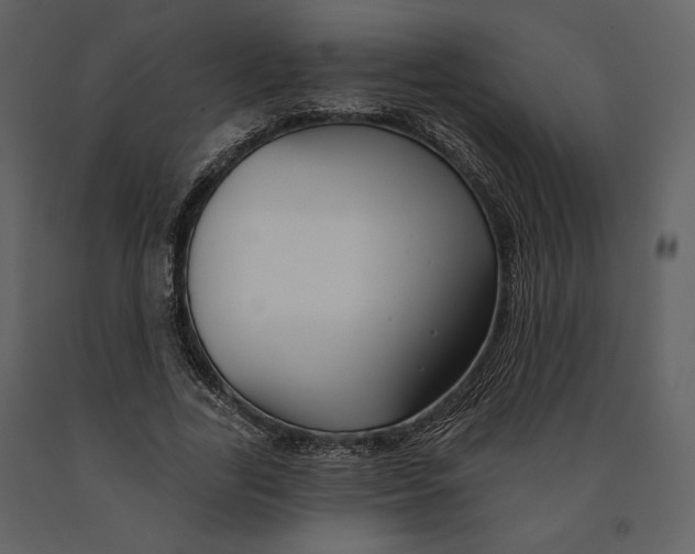 X0000090950731200708241127