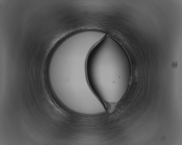 X0000090950732200708241127