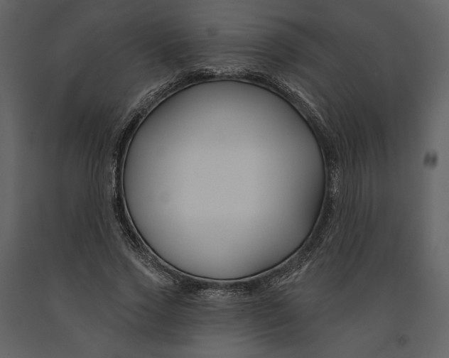 X0000090950733200708241127