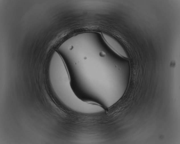 X0000090950734200708241127