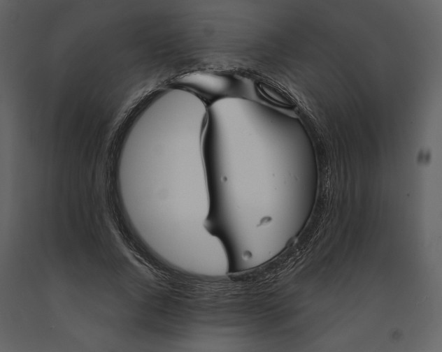 X0000090950736200708241127