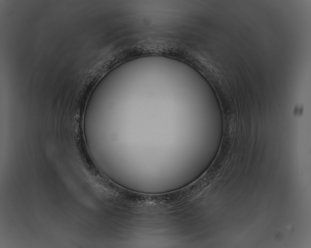 X0000090950737200708241127