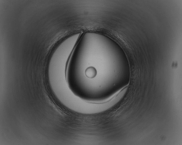 X0000090950738200708241127