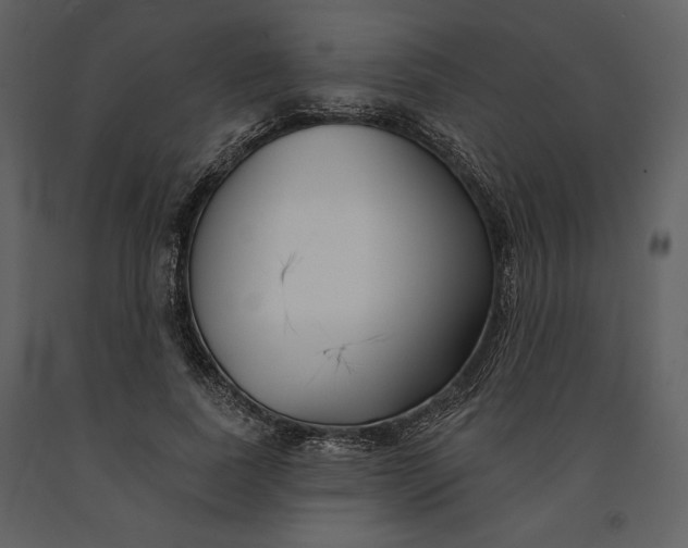 X0000090950739200708241127