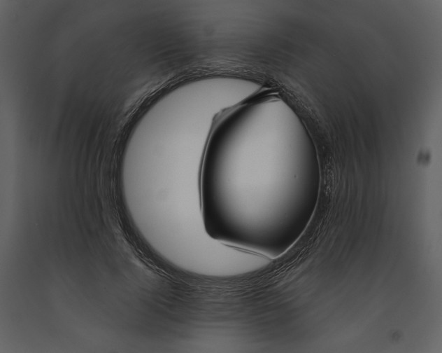 X0000090950740200708241127