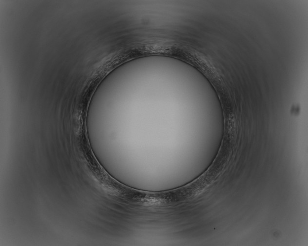 X0000090950741200708241128