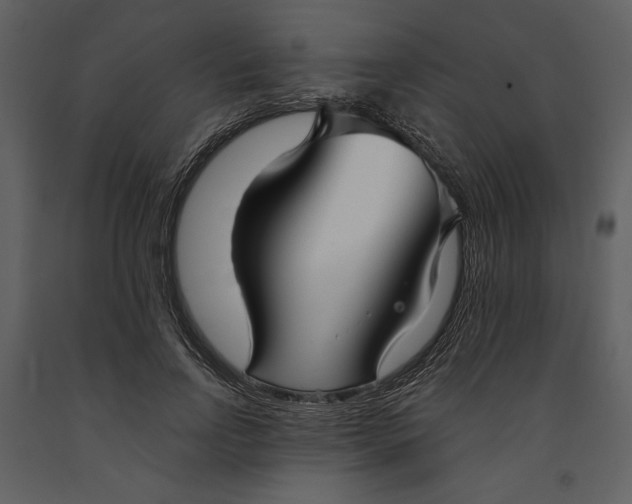 X0000090950742200708241128