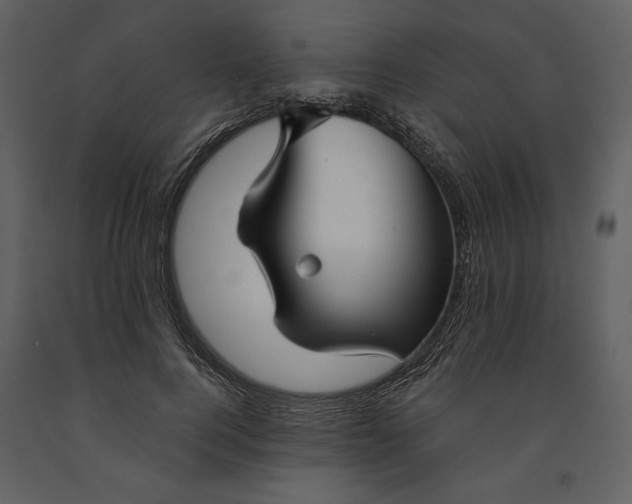 X0000090950744200708241128