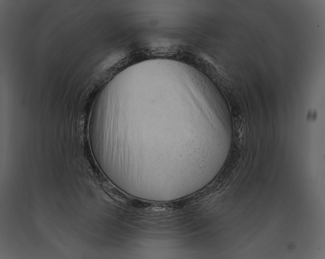 X0000090950745200708241128