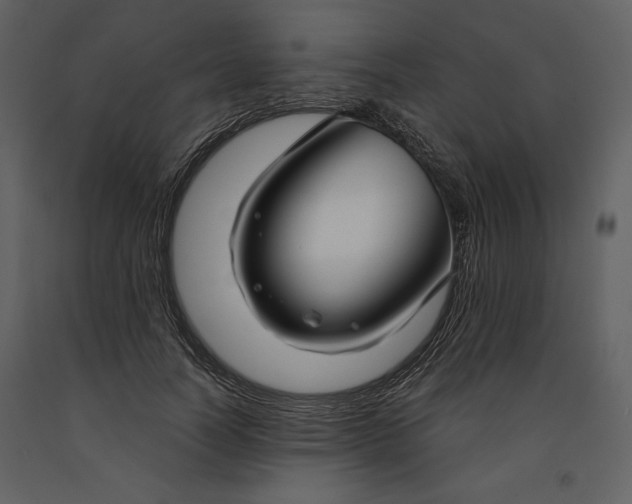 X0000090950746200708241128