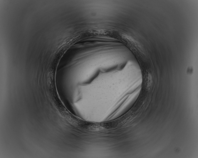X0000090950747200708241128