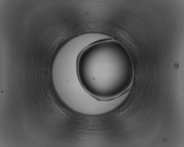 X0000090950748200708241128