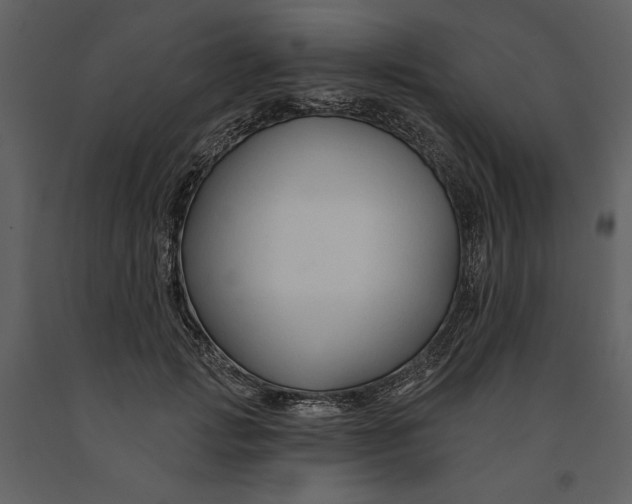 X0000090950749200708241128