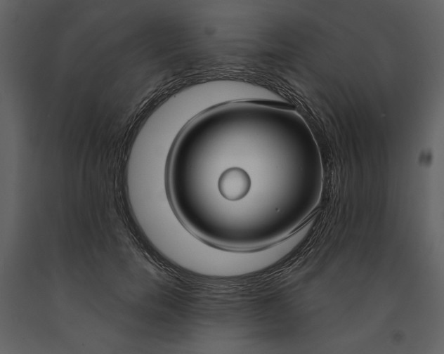 X0000090950750200708241128