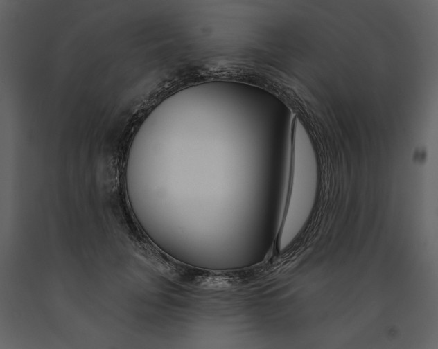 X0000090950751200708241128
